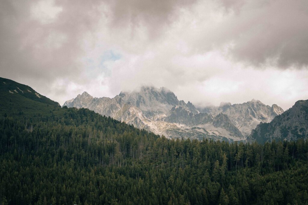 Baranovic_Photography-124