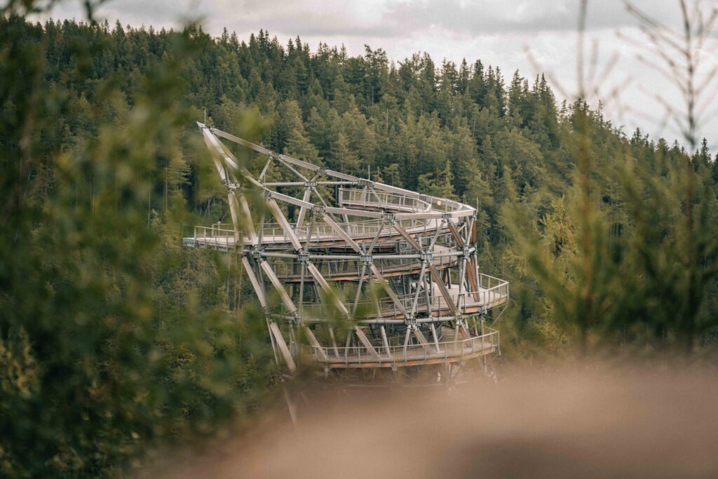 Baranovic_Photography-169