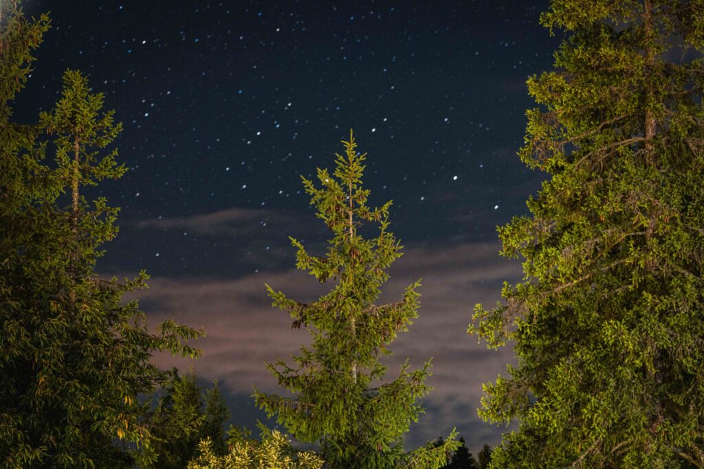 Baranovic_Photography-2