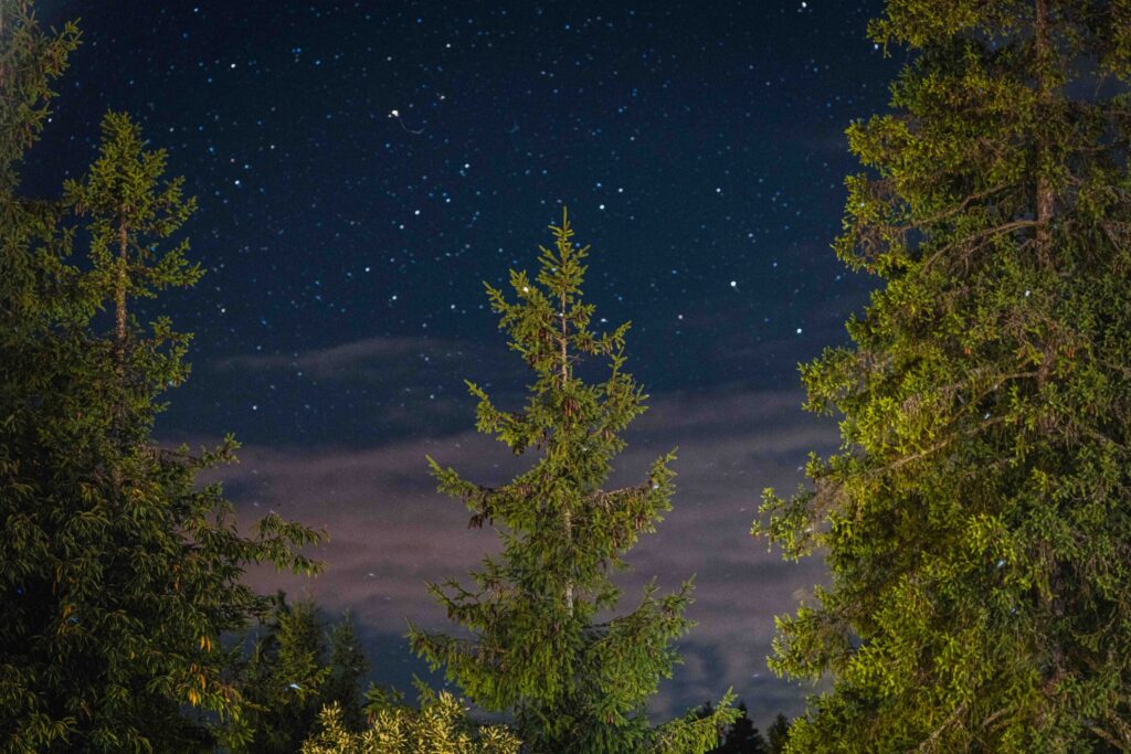 Baranovic_Photography-3