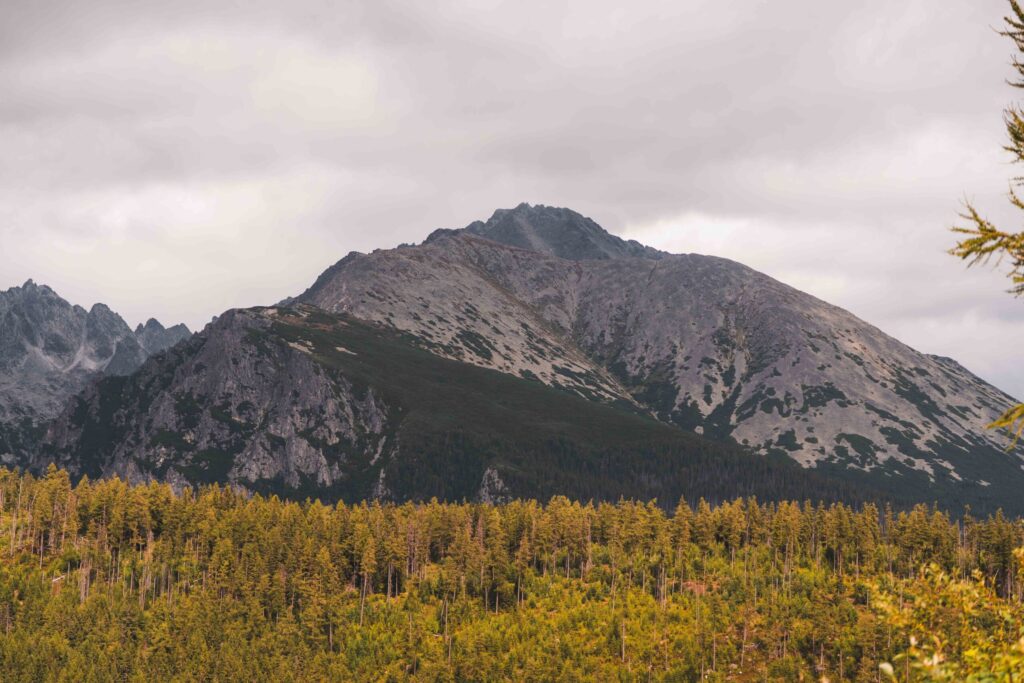 Baranovic_Photography-422