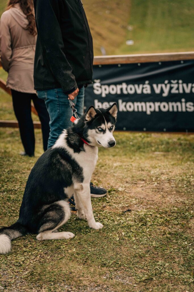 Baranovic_Photography-620